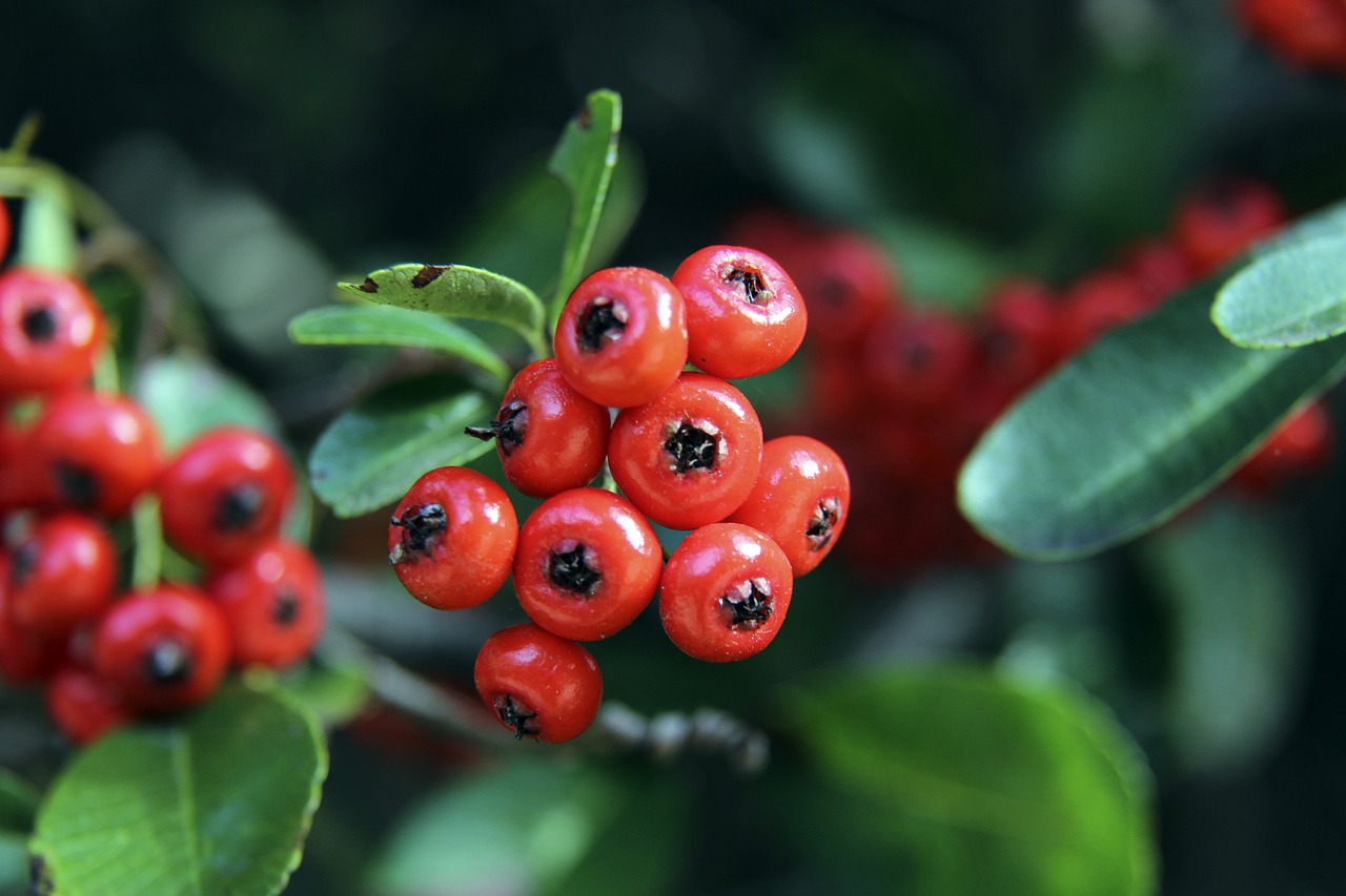 而邁阿密的 而邁阿密的