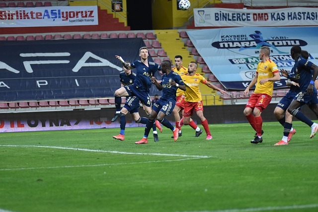 来奠定了基 来奠定了基