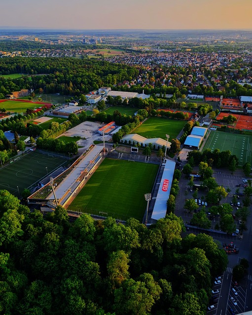 这一季引入 这一季引入