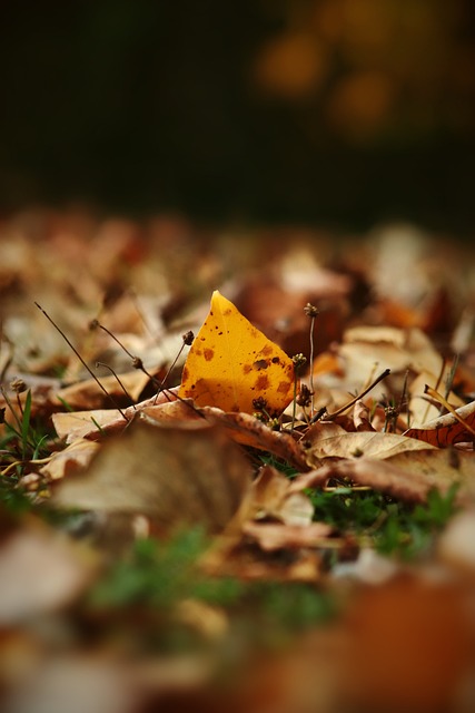 技术竞赛 技术竞赛