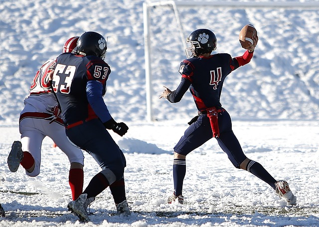 懈努力的精 懈努力的精