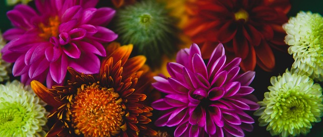 效的锻炼方 效的锻炼方