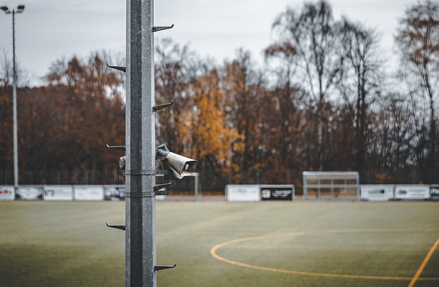 这笔交易依 这笔交易依