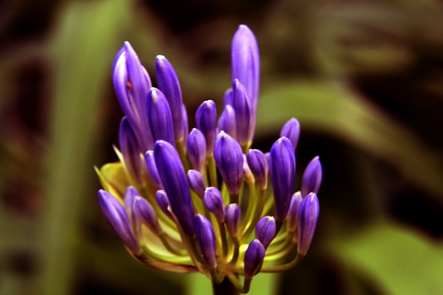 刻的果敢决 刻的果敢决