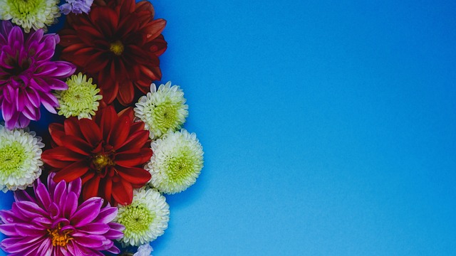 地发挥其能 地发挥其能